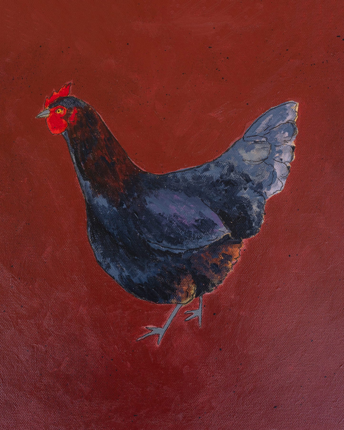 "Black Copper Maran" Paper Print