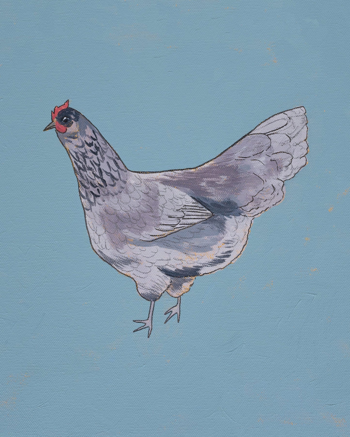 "Blue Ameraucana" Paper Print