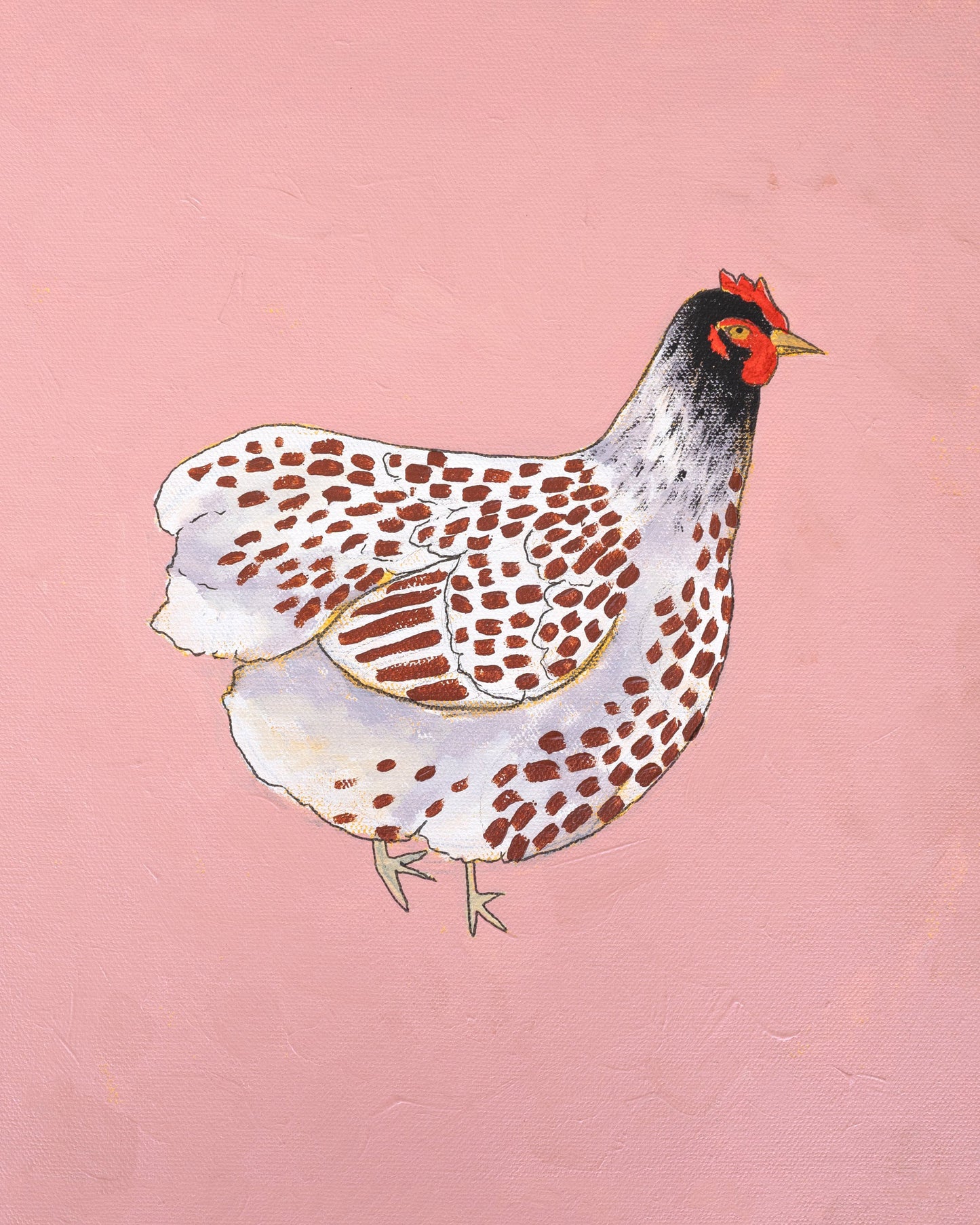 "Blue Lace Wyandotte" Paper Print