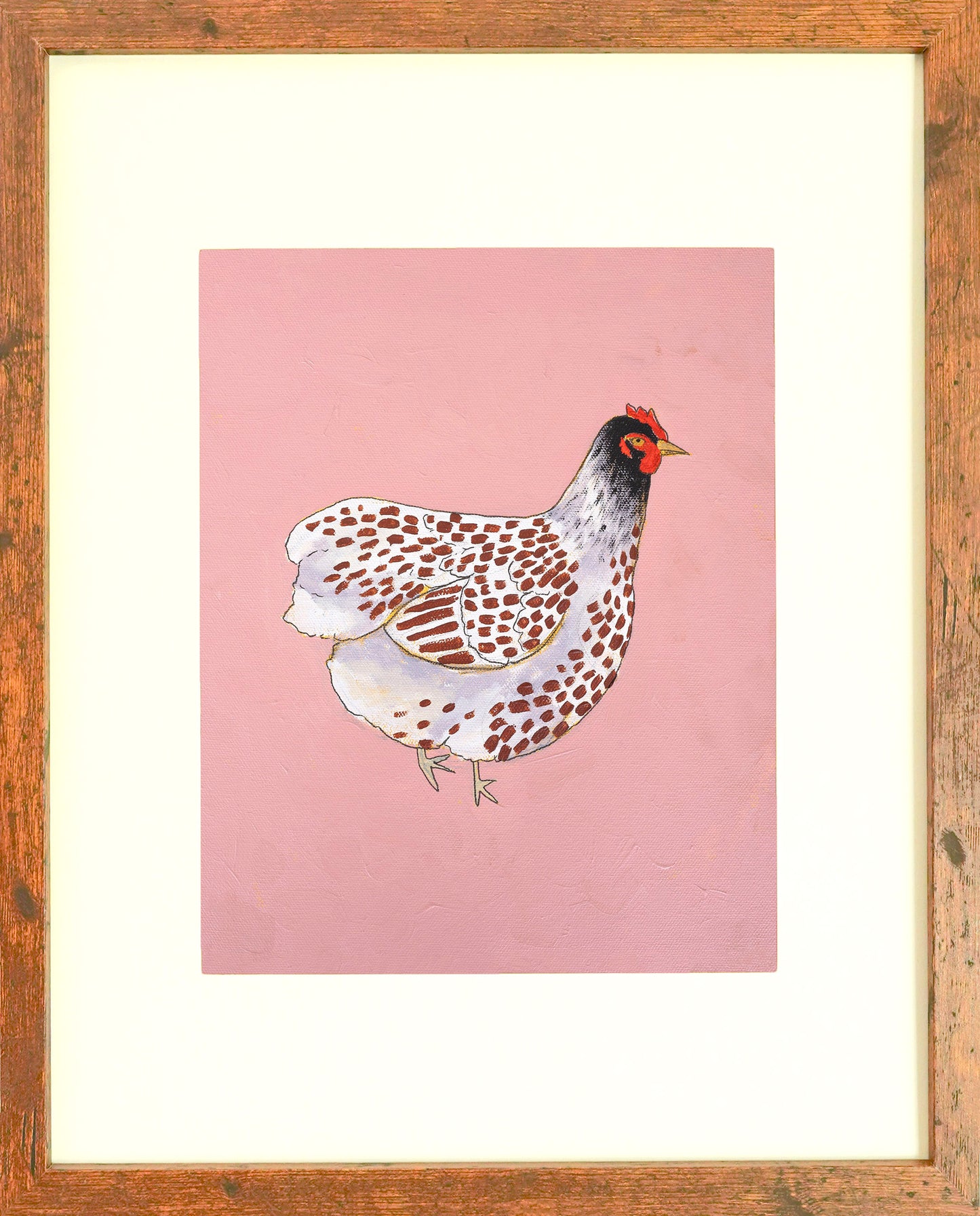 "Blue Lace Wyandotte" Paper Print