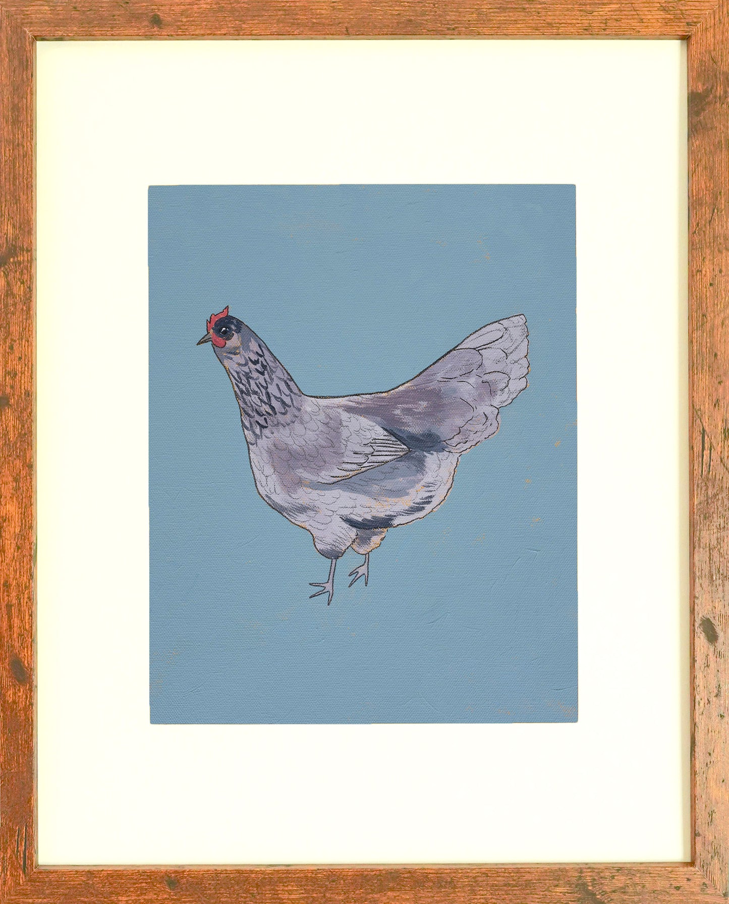 "Blue Ameraucana" Paper Print