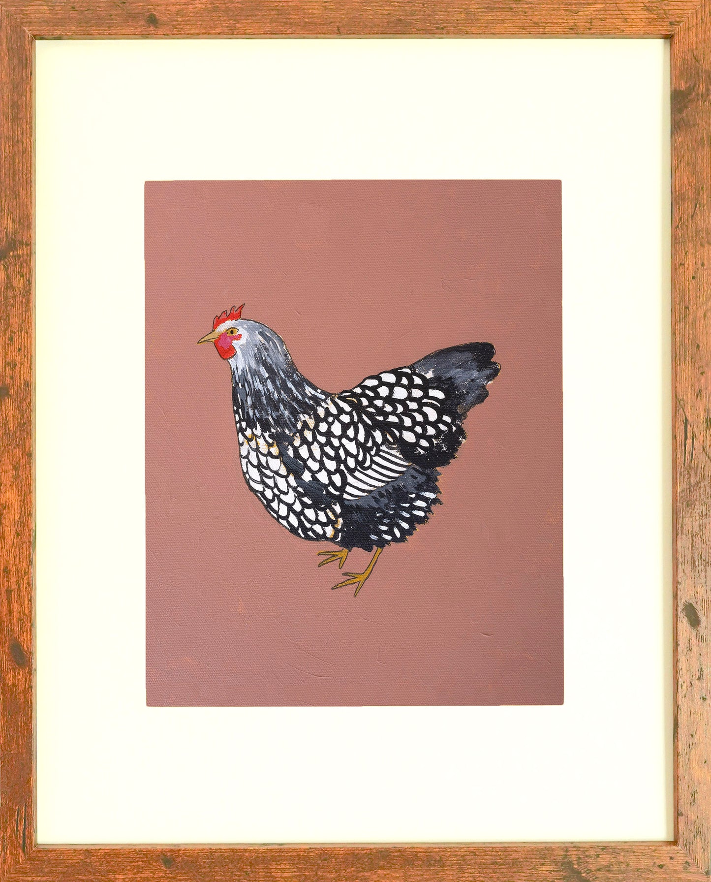 "Silver Lace Wyandotte" Paper Print