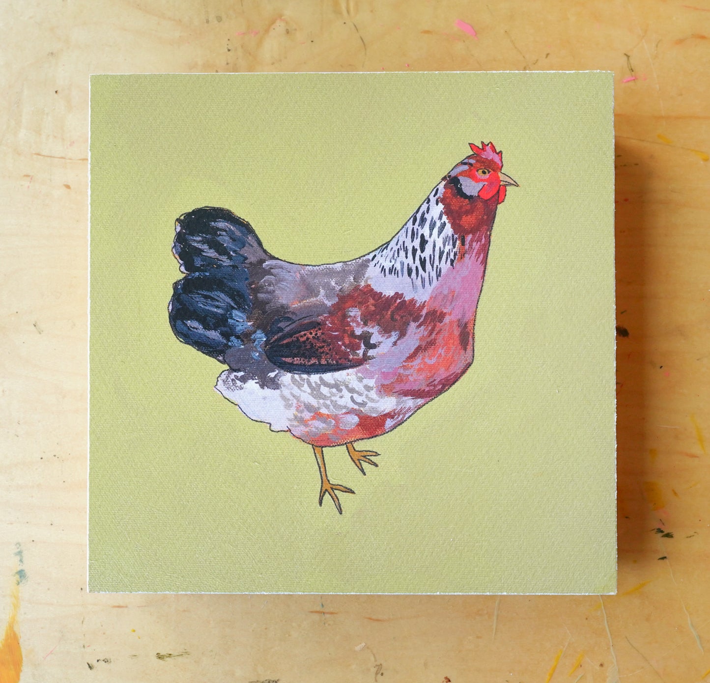 Olive Egger - 8x8 Mounted Print