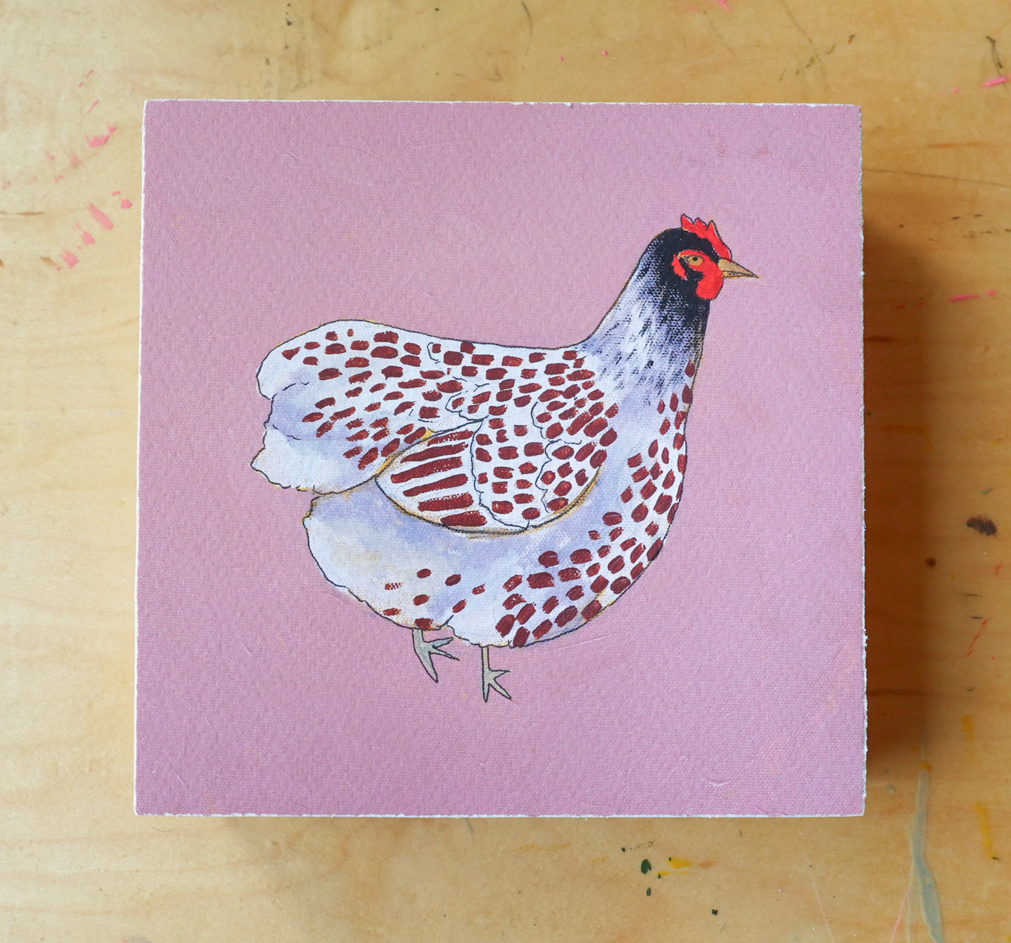 Blue Lace Wyandotte - 6x6 Mounted Print