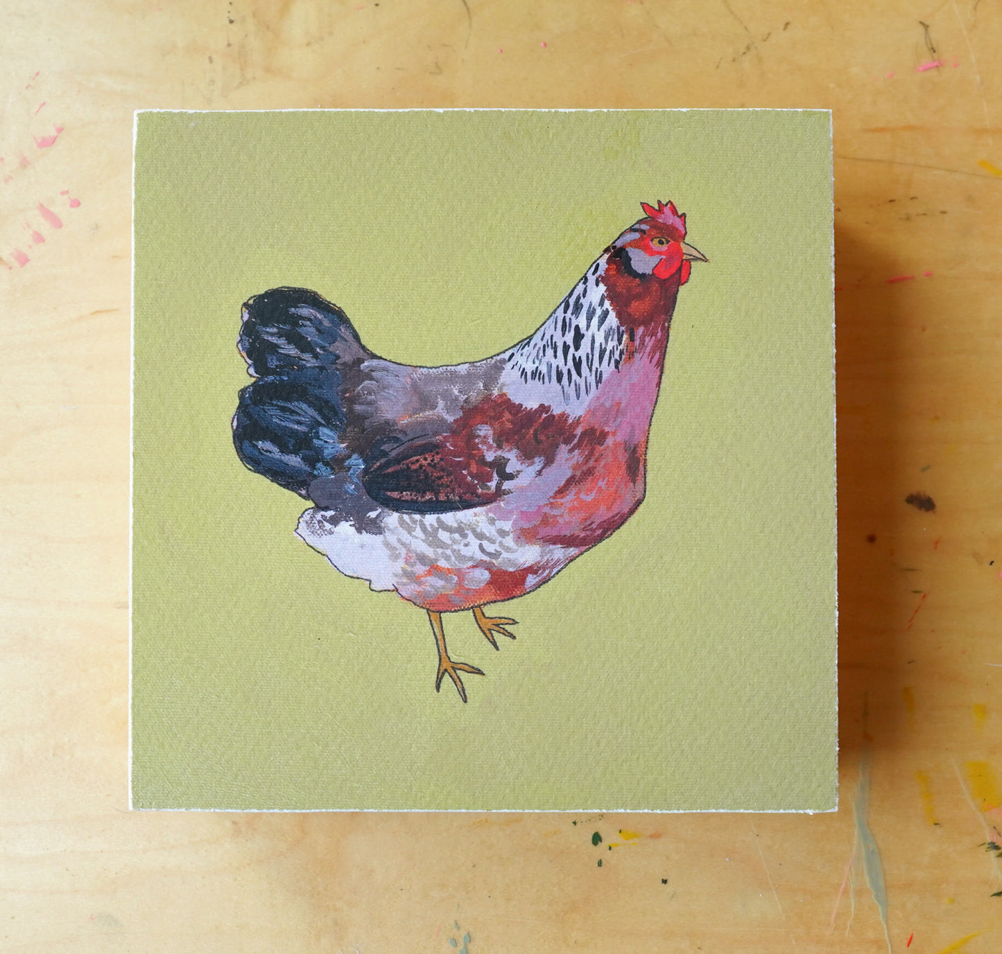 Olive Egger - 6x6 Mounted Print