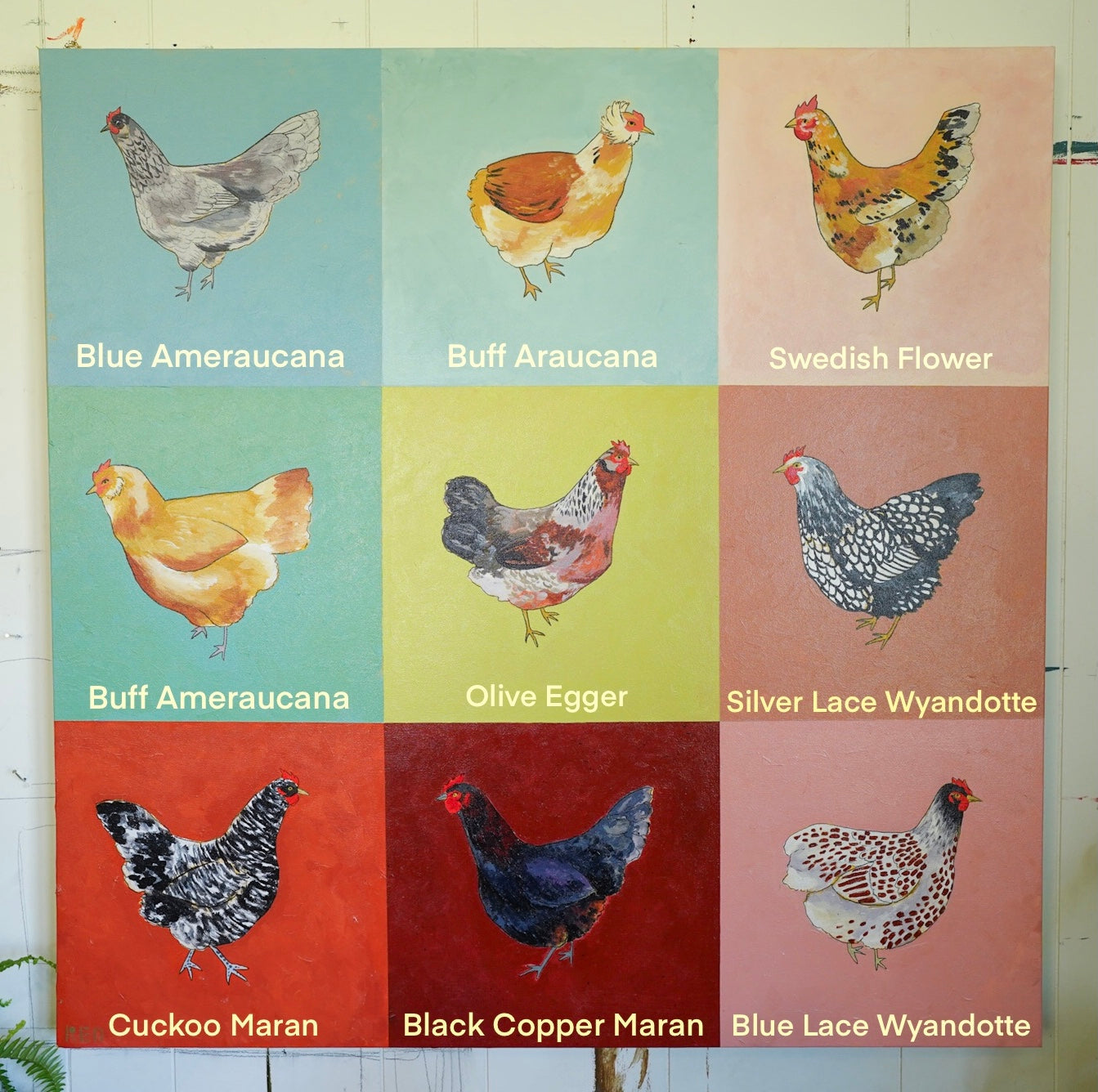 Rainbow Chickens - 36x36 Original Painting