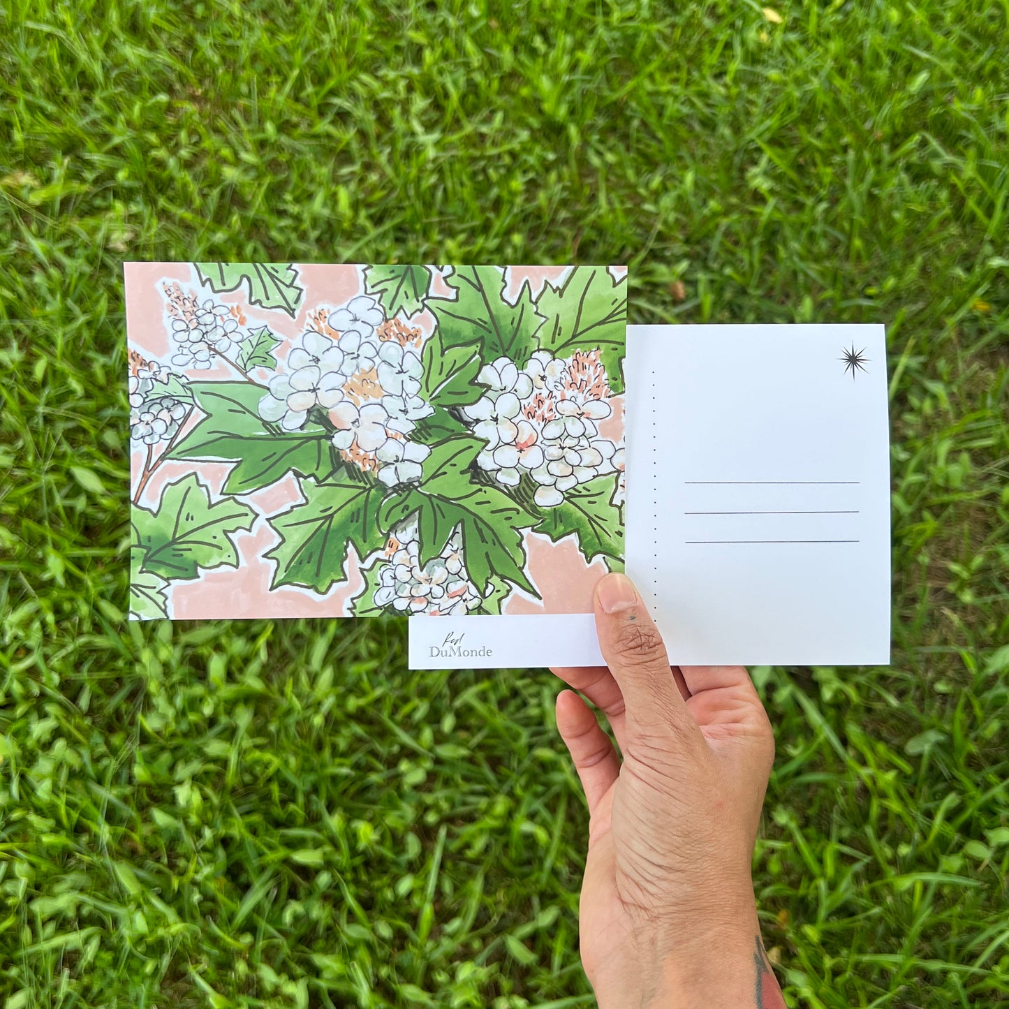 July 2023 Patreon Postcard