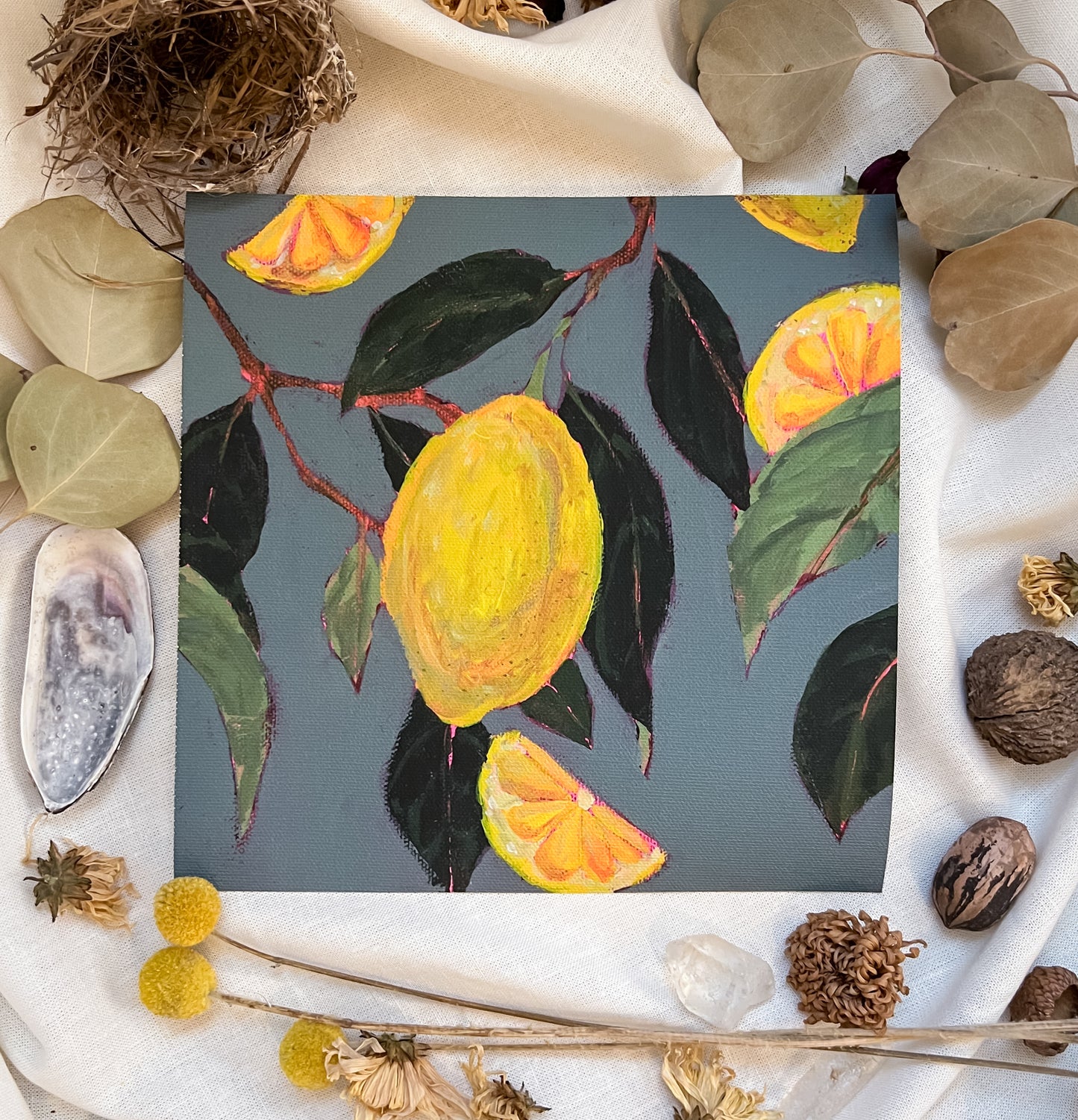 "Citrus no. i" Canvas Print