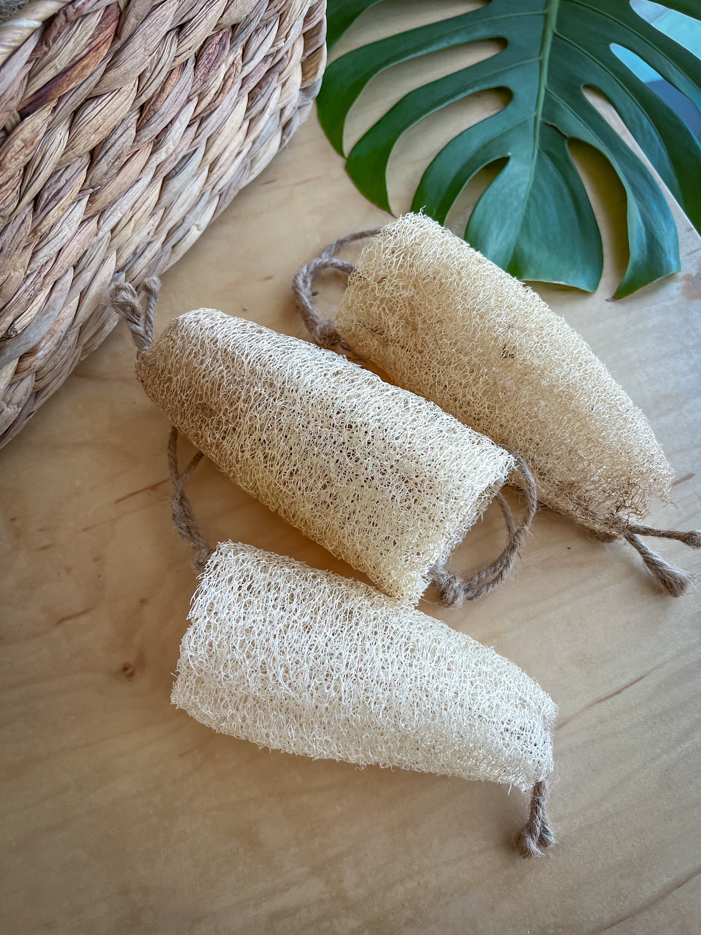 Loofah Sponge