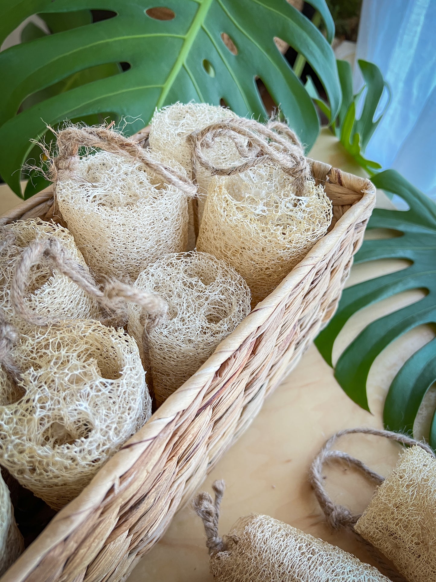 Loofah Sponge
