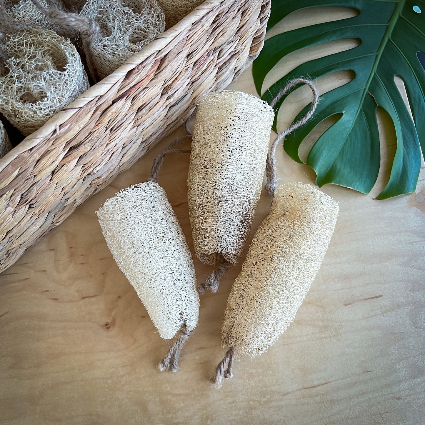 Loofah Sponge