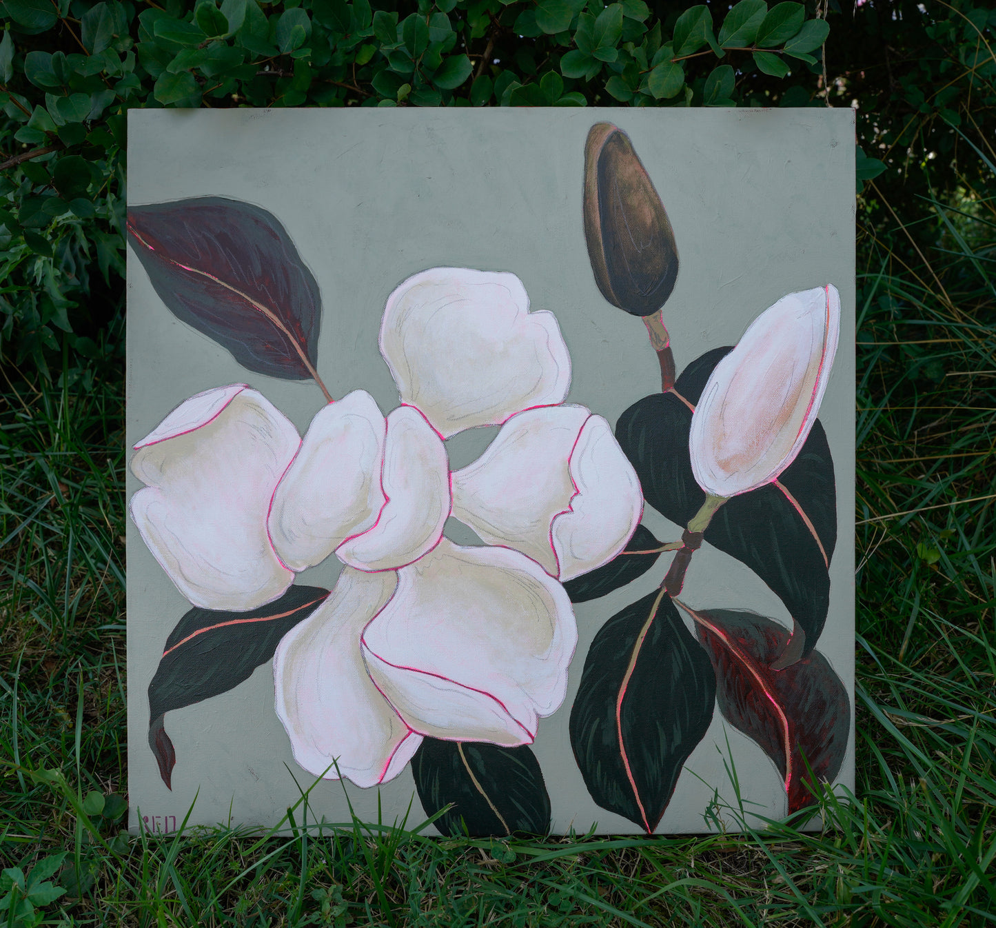 Magnolia no. ii - 24x24 Original Painting