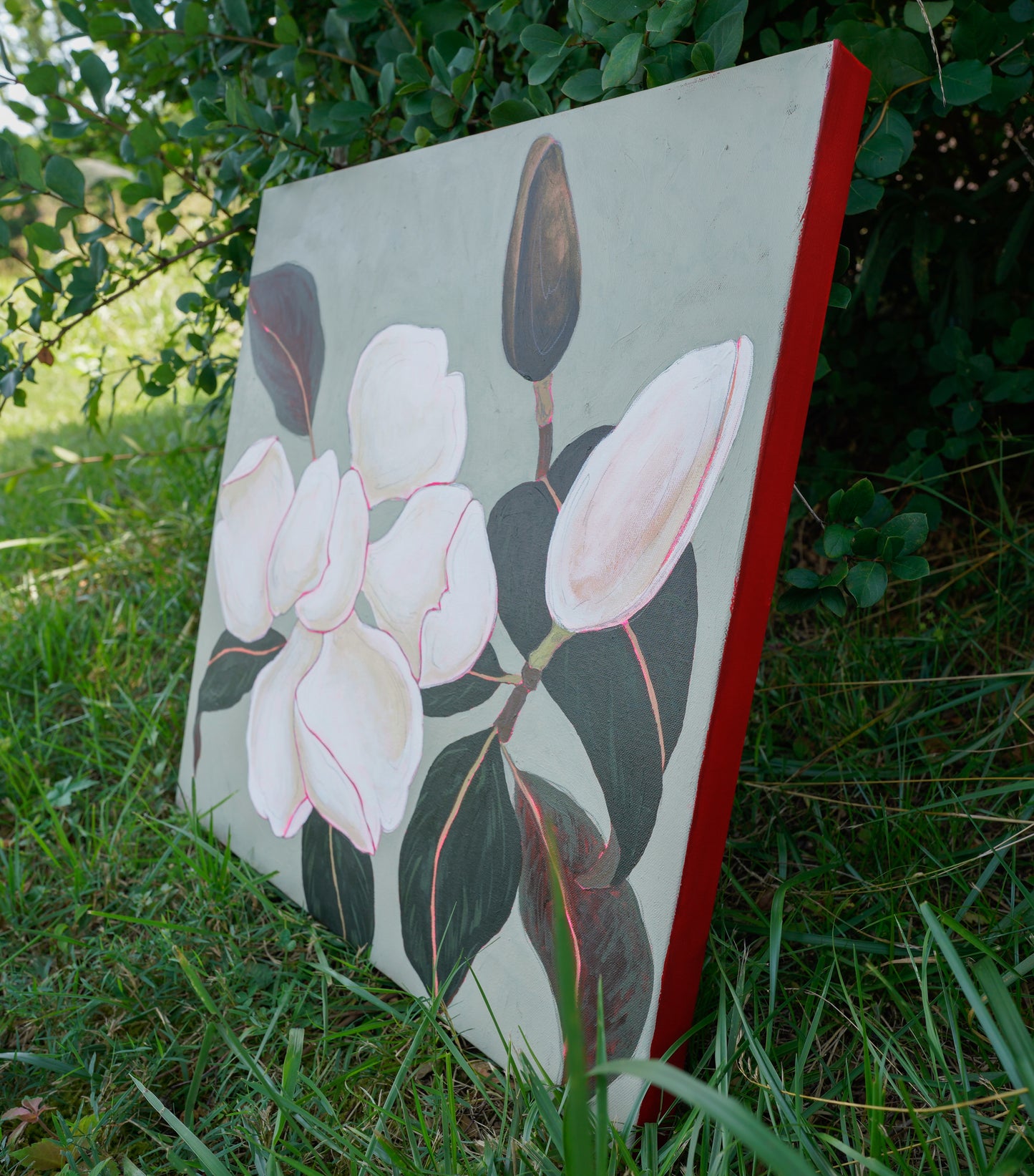 Magnolia no. ii - 24x24 Original Painting