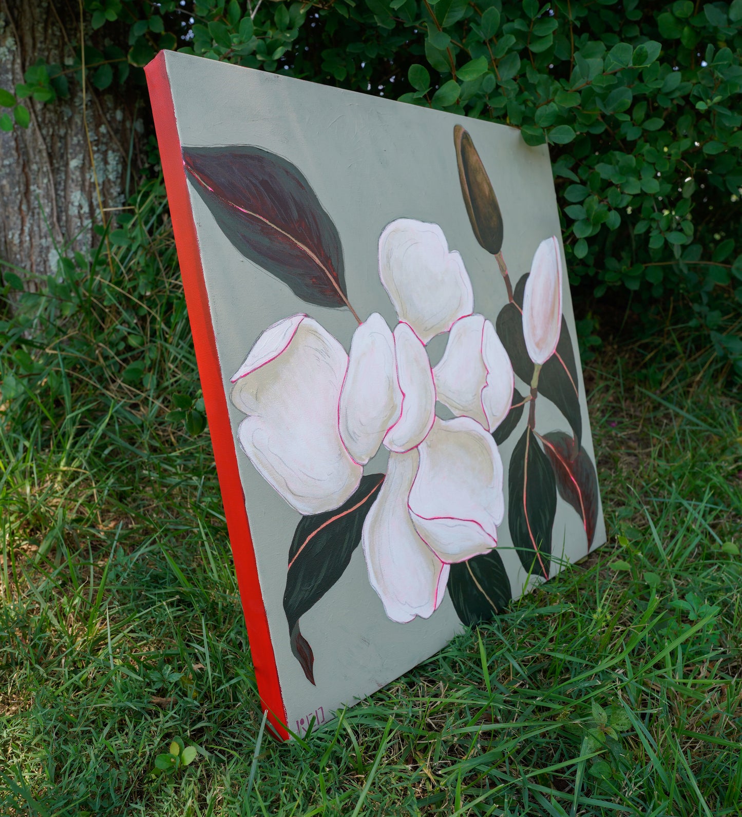 Magnolia no. ii - 24x24 Original Painting