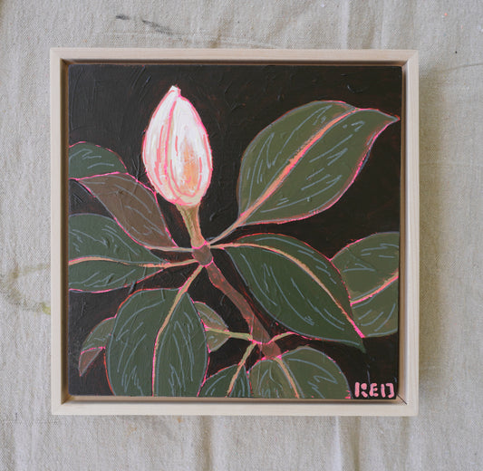 Magnolia no. iv - 10x10 Original Painting