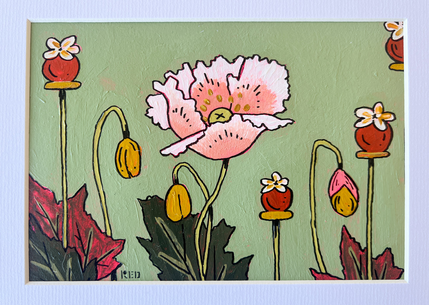 Peach Poppy - 4x6 Matted Original