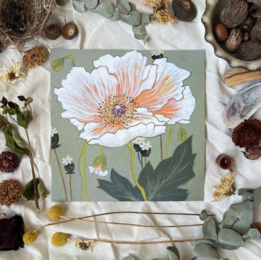 Art print of white and pink poppy flower with buds and seed pods on a grey/green background. Print is sitting on a white linen sheet surrounded by dried plants and other nature items.