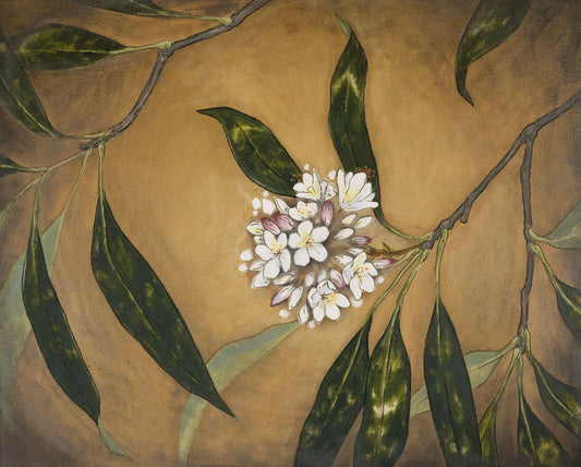 Abstract representational acrylic painting of white rhododendron flowers and branches on a yellow ochre vignetted background