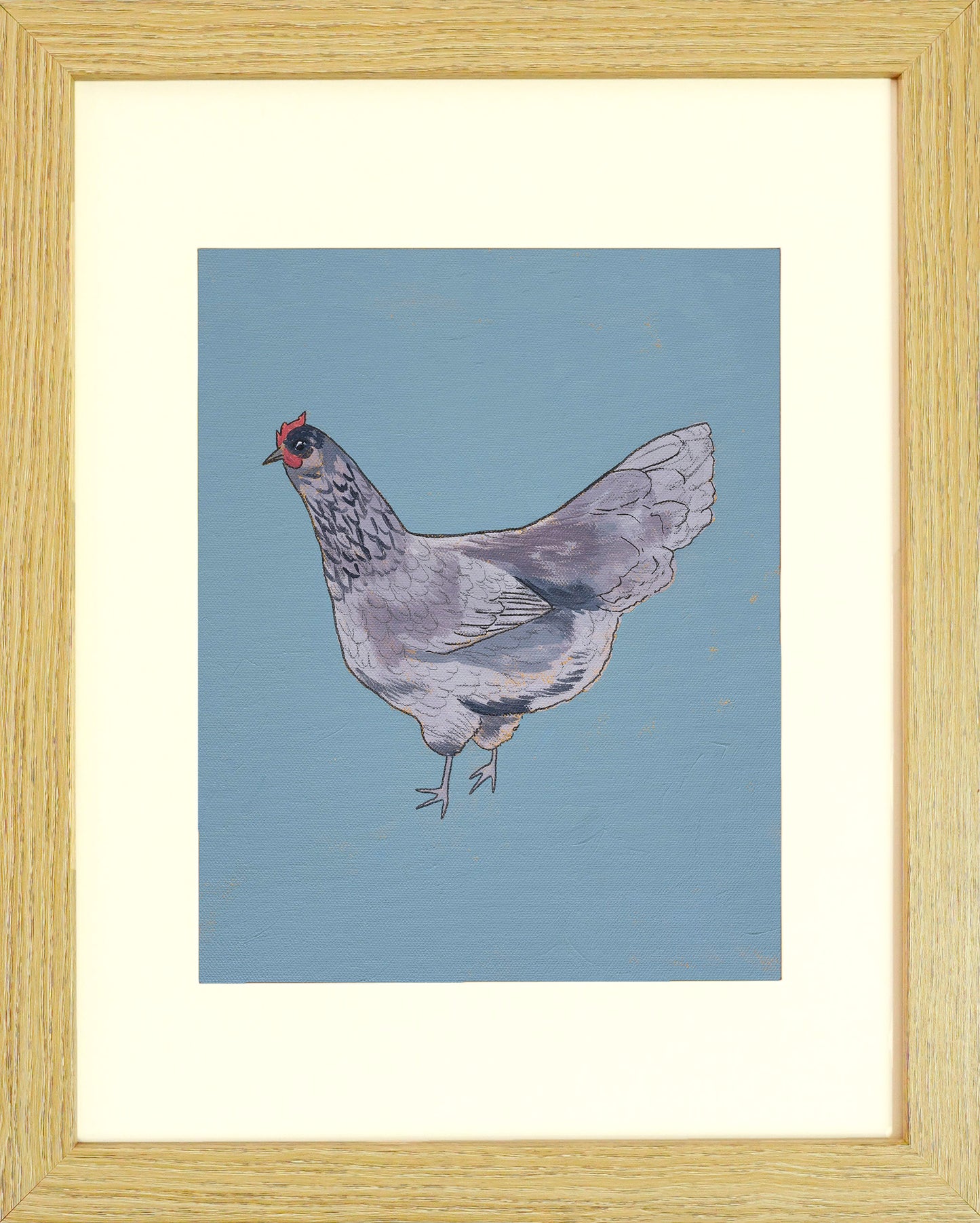 "Blue Ameraucana" Paper Print