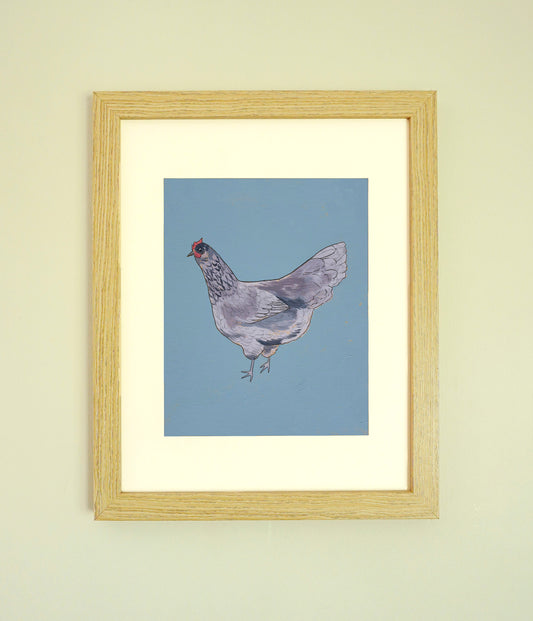 "Blue Ameraucana" Paper Print