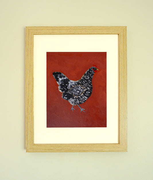 "Cuckoo Maran" Paper Print