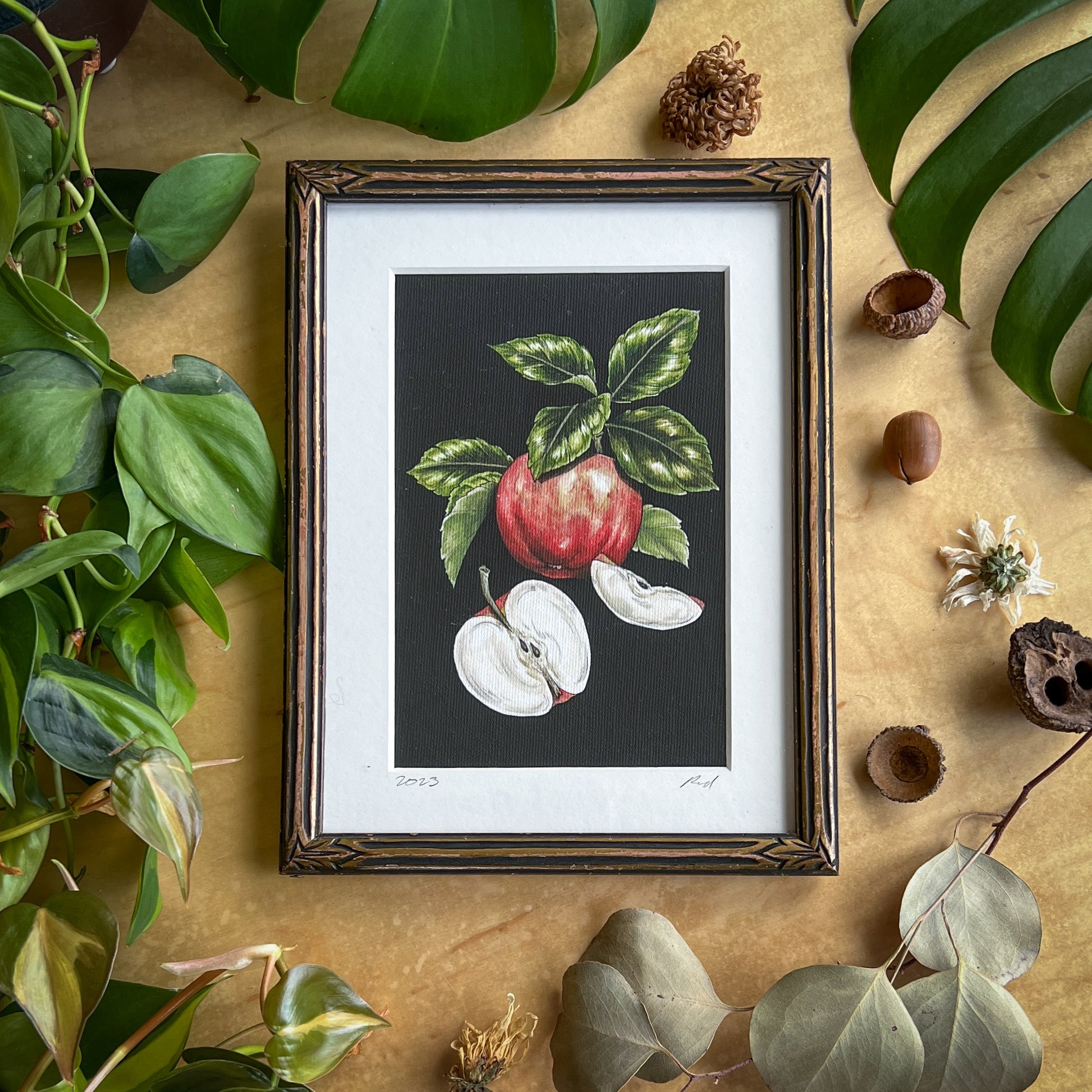 Canvas print of a honey crisp apple in a vintage gold and black frame displayed on a wood table with plants and other natural items scattered around it