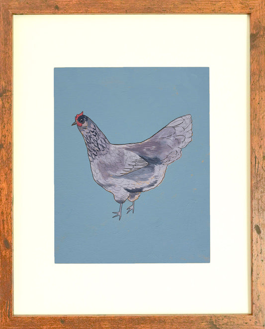 "Blue Ameraucana" Archival Print