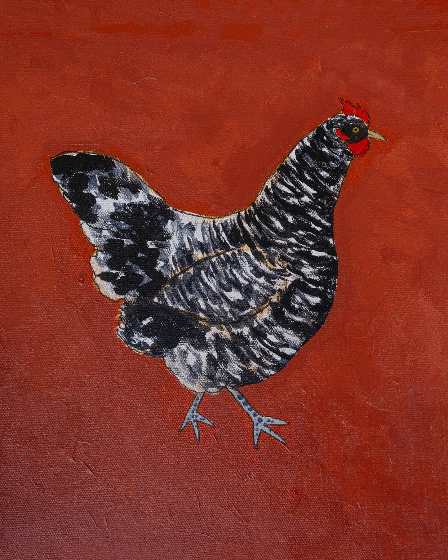 "Cuckoo Maran" Paper Print