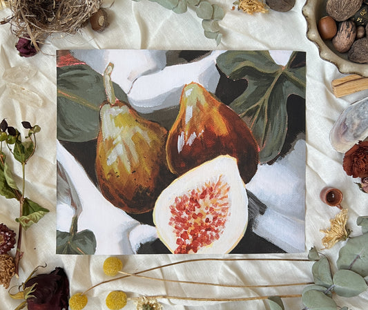 Art print of 3 figs, one as a cross section, on a white table cloth with leaves. Print is sitting on a white linen sheet surrounded by dried plants and other nature items.