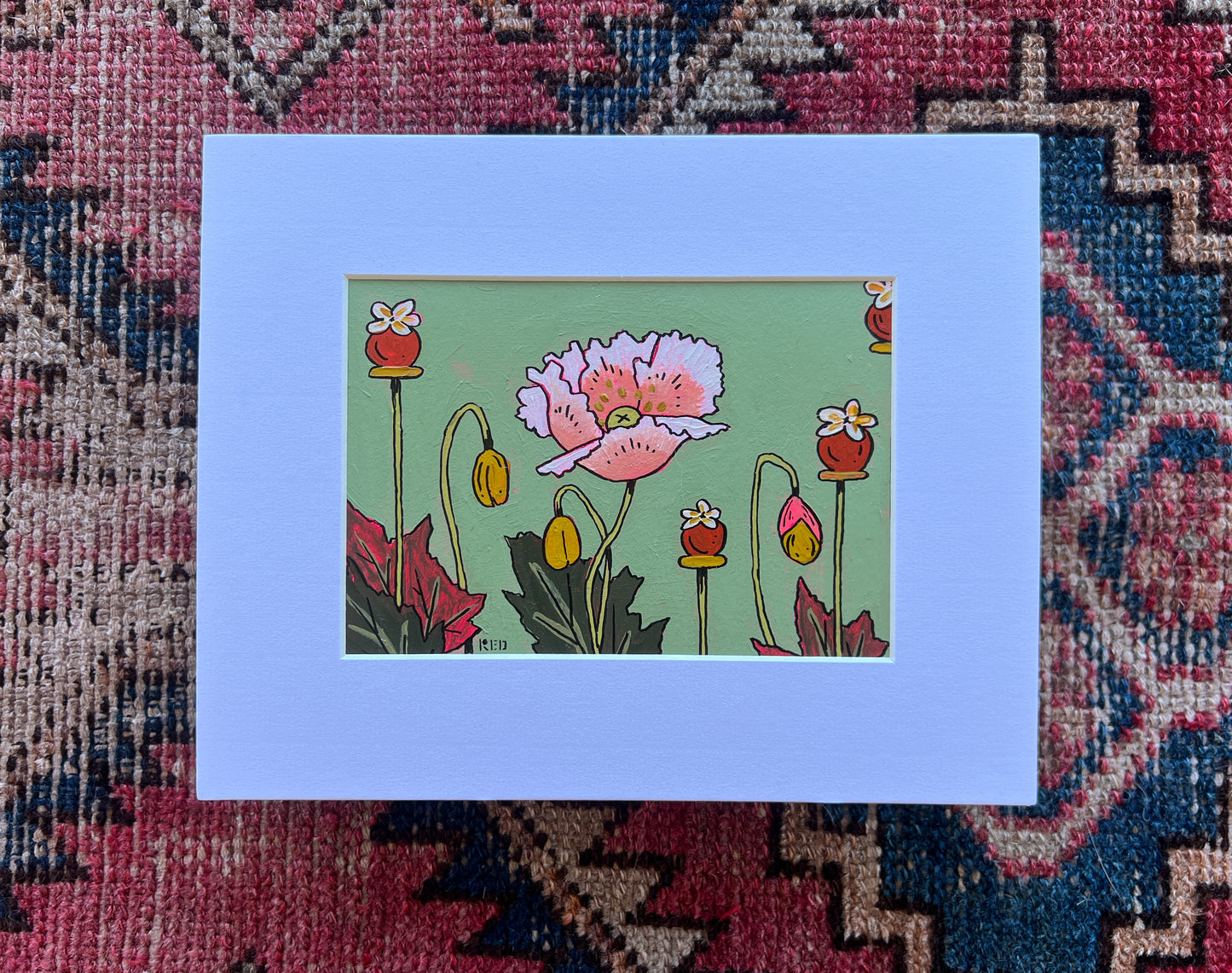 Peach Poppy - 4x6 Matted Original