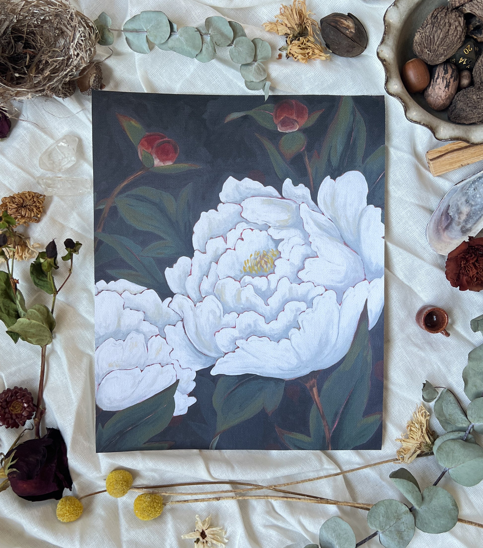 Art print of white peonies and dark red buds on black background. Print is sitting on a white linen sheet surrounded by dried plants and other nature items.