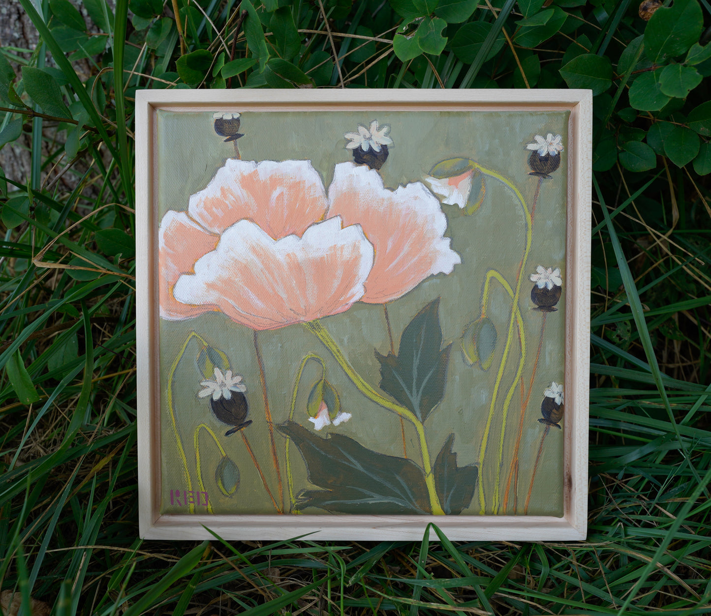 Poppies no. iv - 10x10 Original Painting
