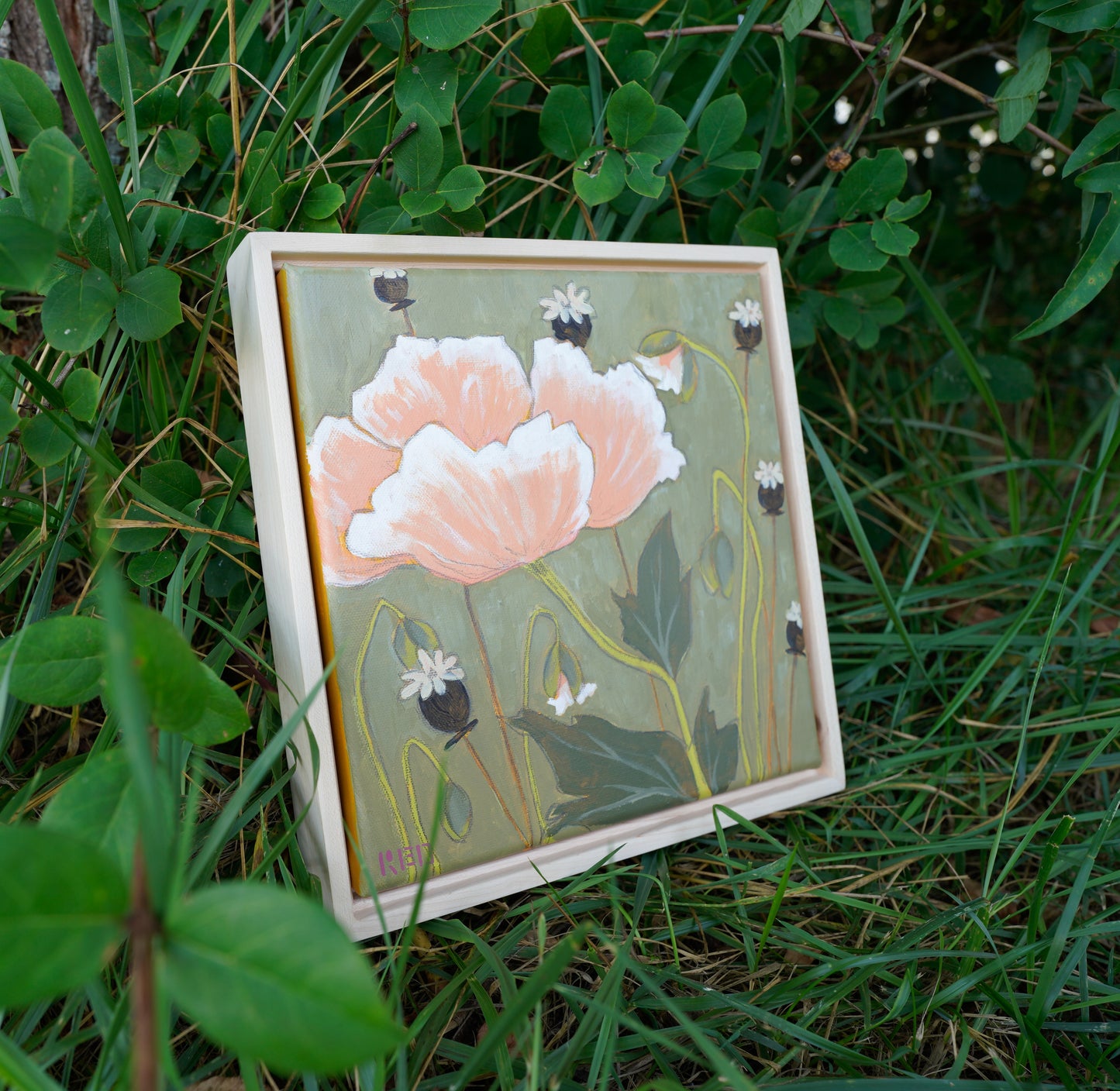 Poppies no. iv - 10x10 Original Painting