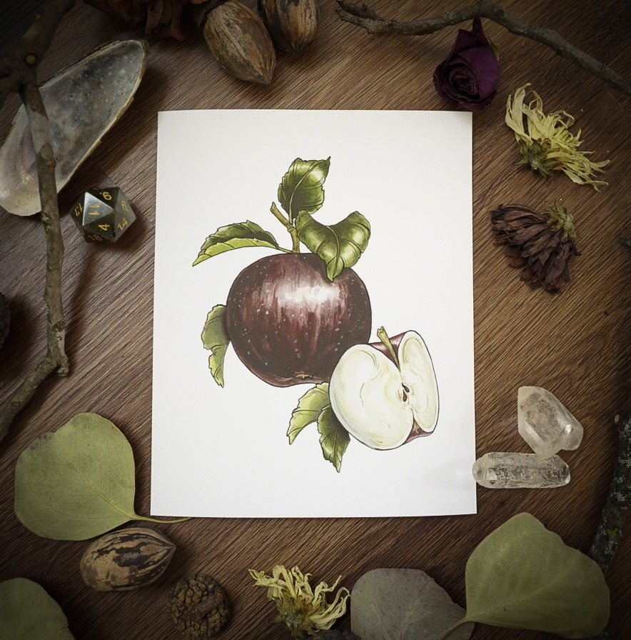 "Arkansas Black Apple" Watercolor Print