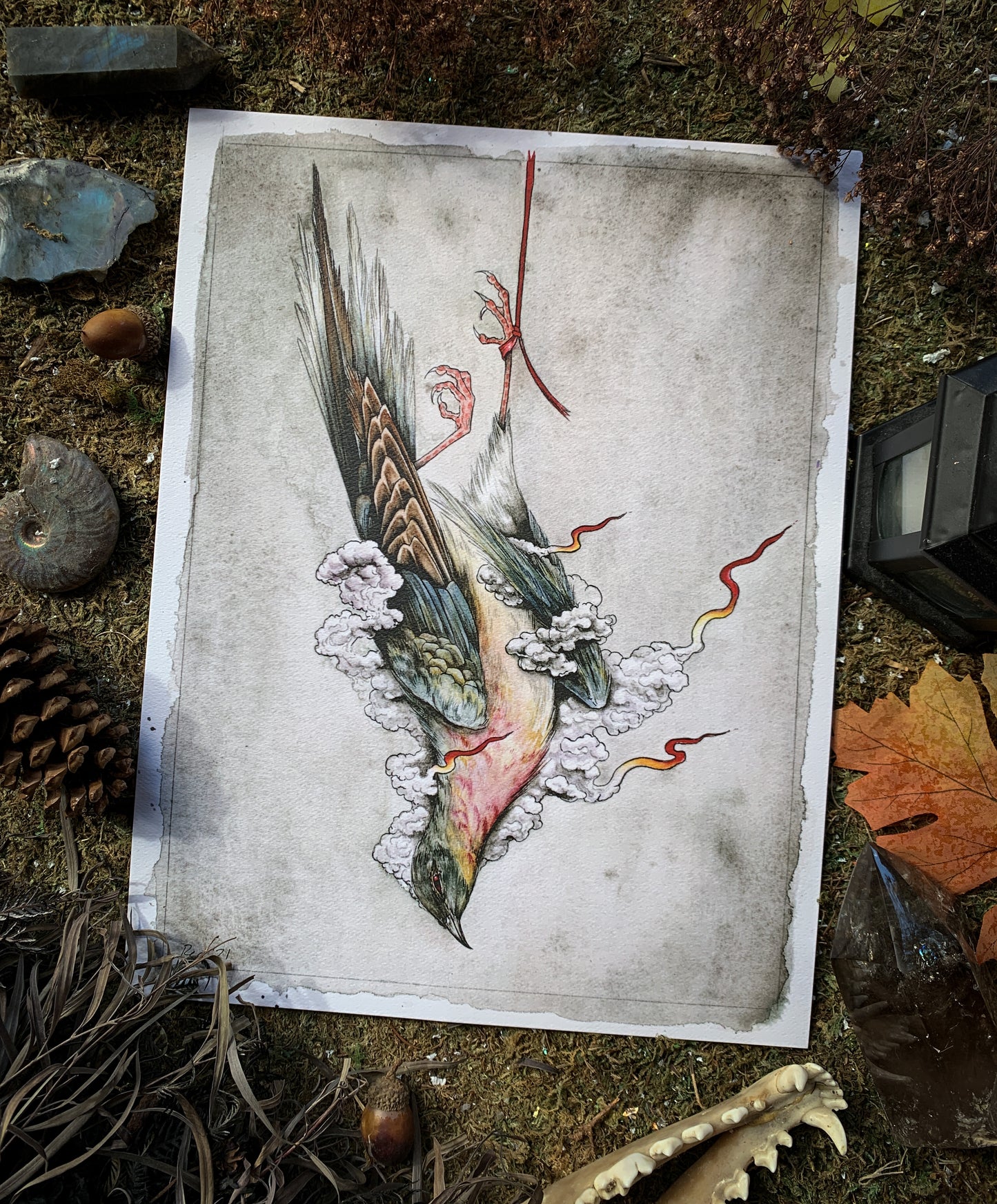 styled flat lay of "the passenger pigeon," an archival print of a watercolor painting of an extinct pigeon hanging by a red string. Pigeon is smoking and on fire.