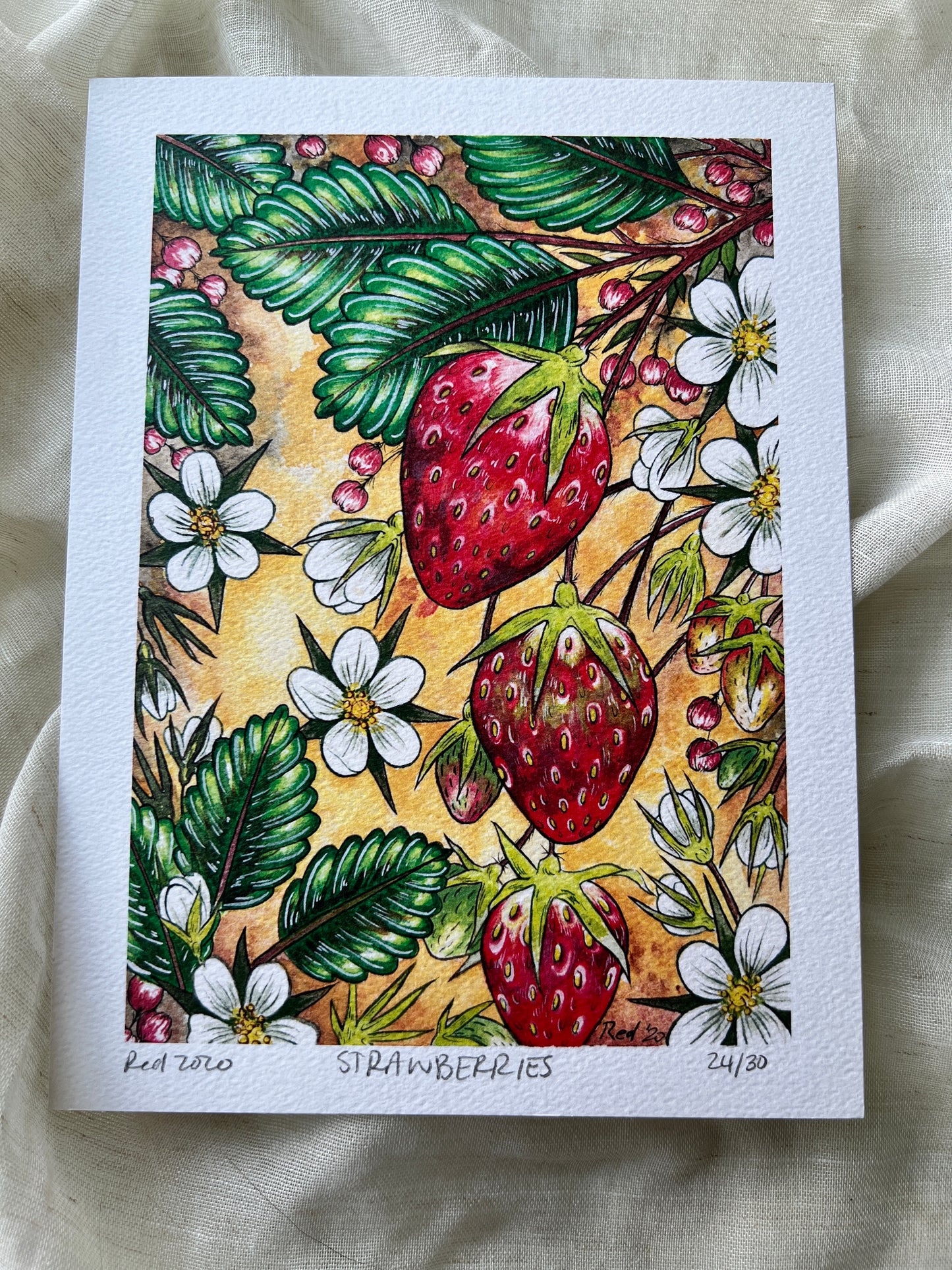 "Strawberries" Fine Art Print