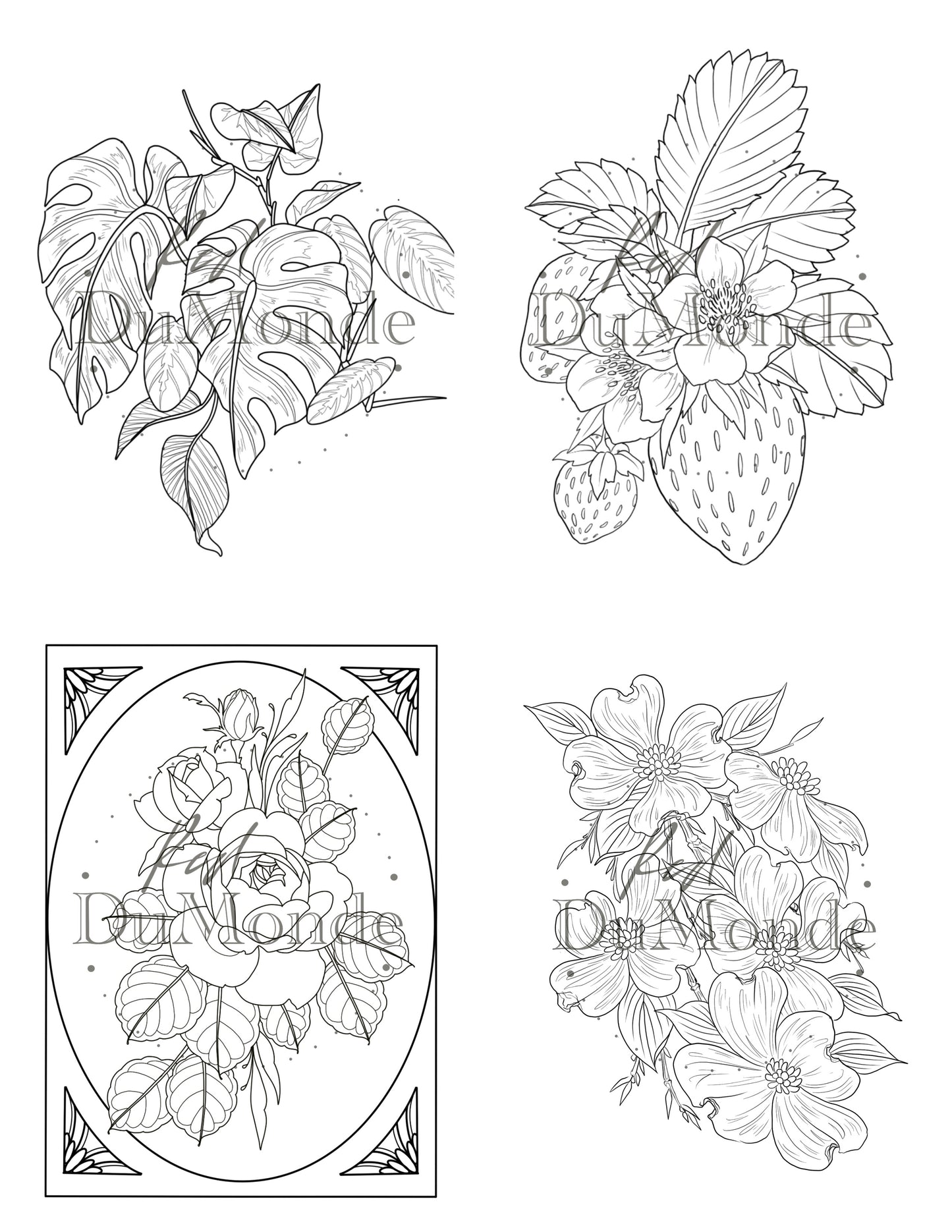 Nature Coloring Page Bundle